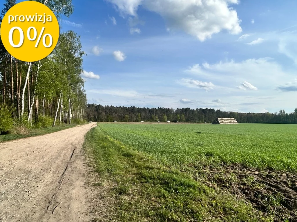 Działka 61 338,00 m², oferta nr , 94/7250/OGS, Ostrowina