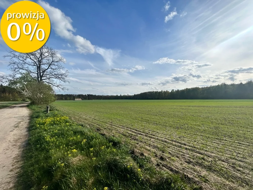 Działka 92 000,00 m², oferta nr , 97/7250/OGS, Ostrowina