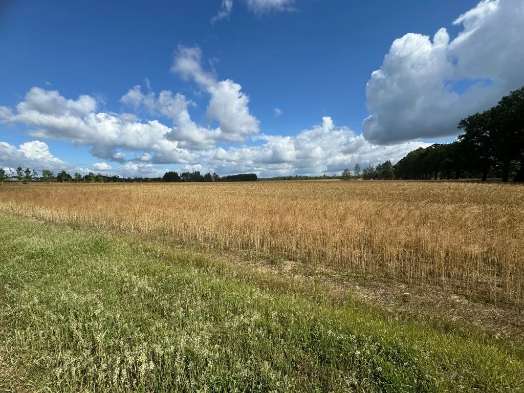 Działka 16 796,00 m², oferta nr , 146/7250/OGS, Wrocław, Leśnica, Ratyń, Wojska Polskiego