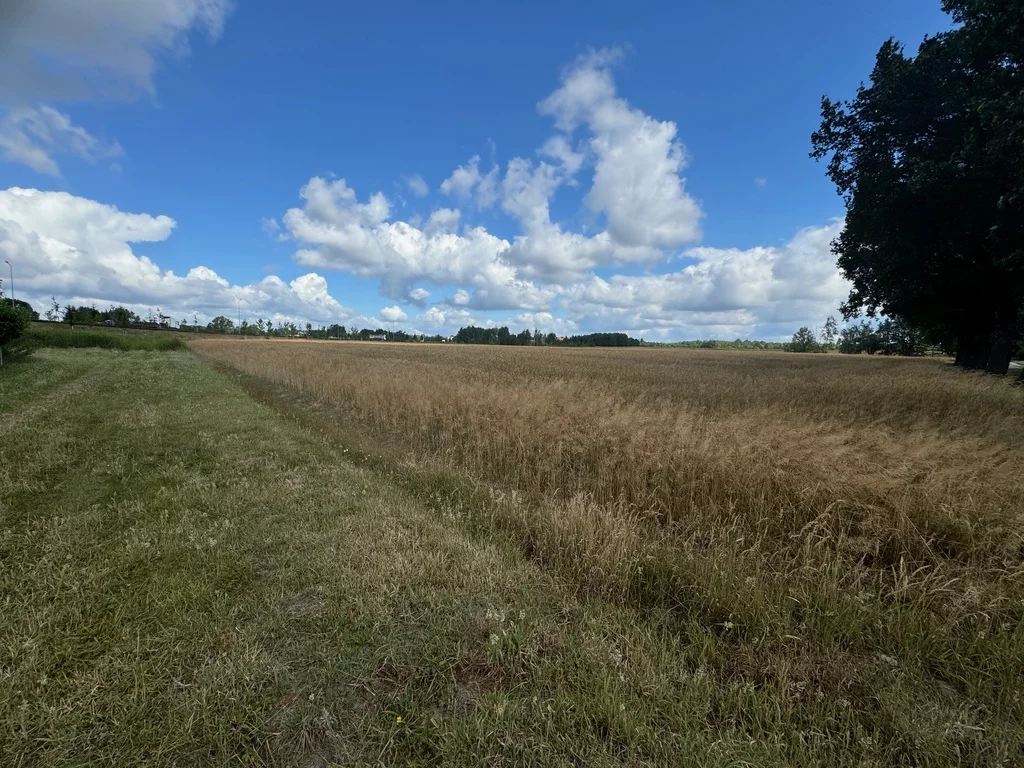 Działka 16 796,00 m², oferta nr , 146/7250/OGS, Wrocław, Leśnica, Ratyń, Wojska Polskiego