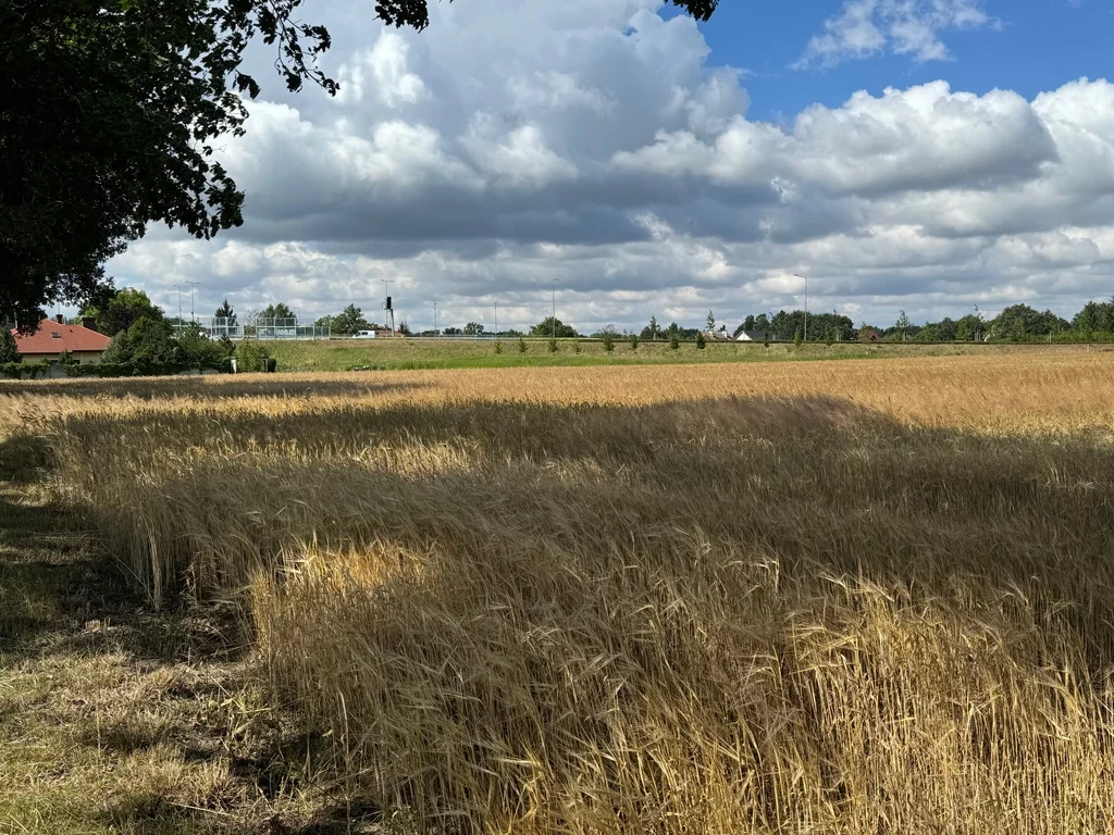 Działka 16 796,00 m², oferta nr , 146/7250/OGS, Wrocław, Leśnica, Ratyń, Wojska Polskiego