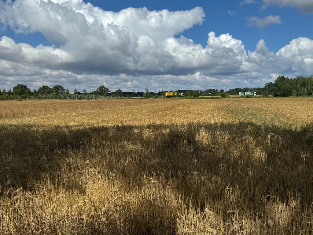 Działka 16 796,00 m², oferta nr , 146/7250/OGS, Wrocław, Leśnica, Ratyń, Wojska Polskiego