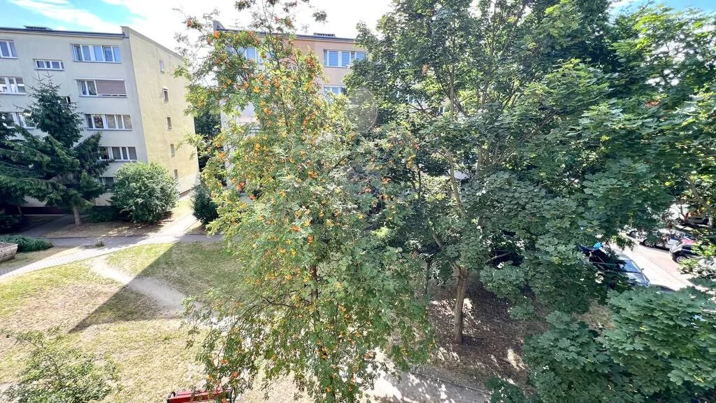 3 pokoje, mieszkanie 48,00 m², piętro 2, oferta nr , 183/7250/OMW, Wrocław, Stare Miasto, Długa