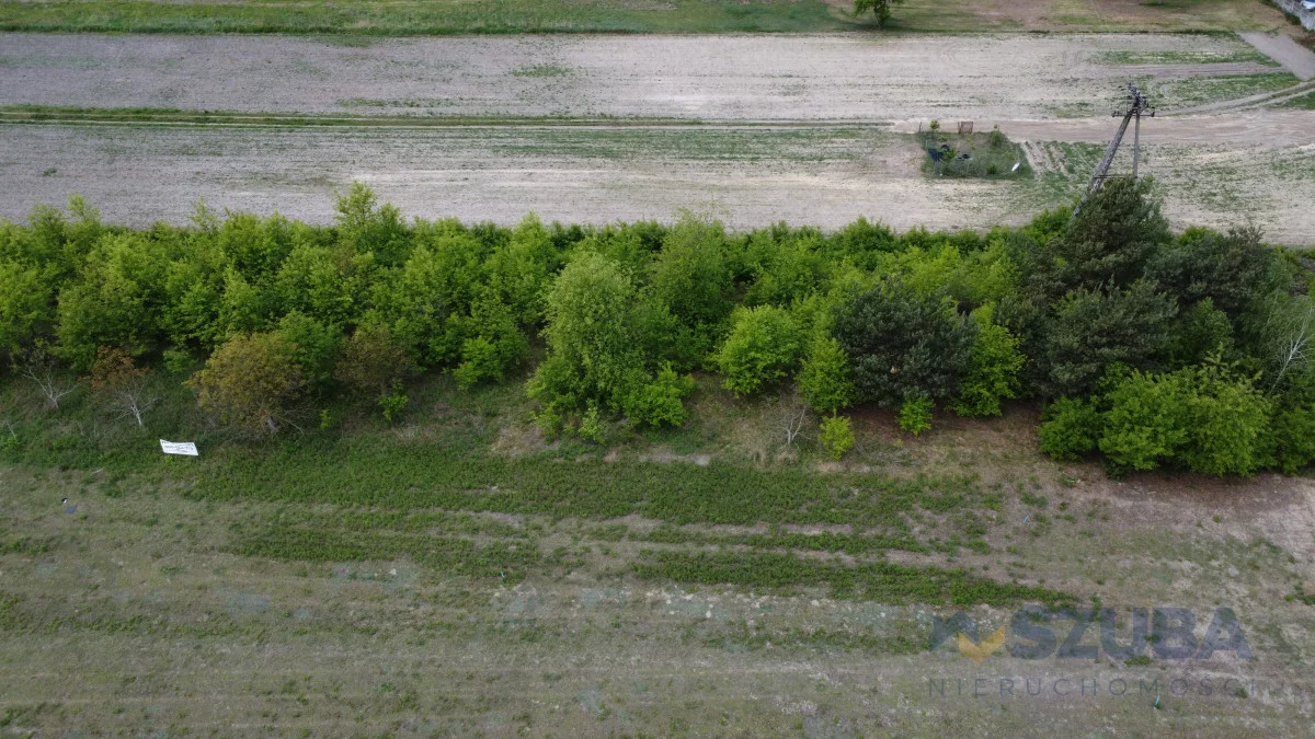 Działka 1 735,00 m², oferta nr , 332169, Borzęcin Duży, Chabrowa