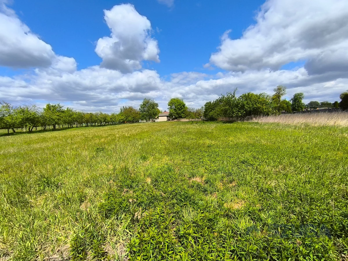 Działka 1 167,00 m², oferta nr , 364603, Borzęcin Duży, Chabrowa