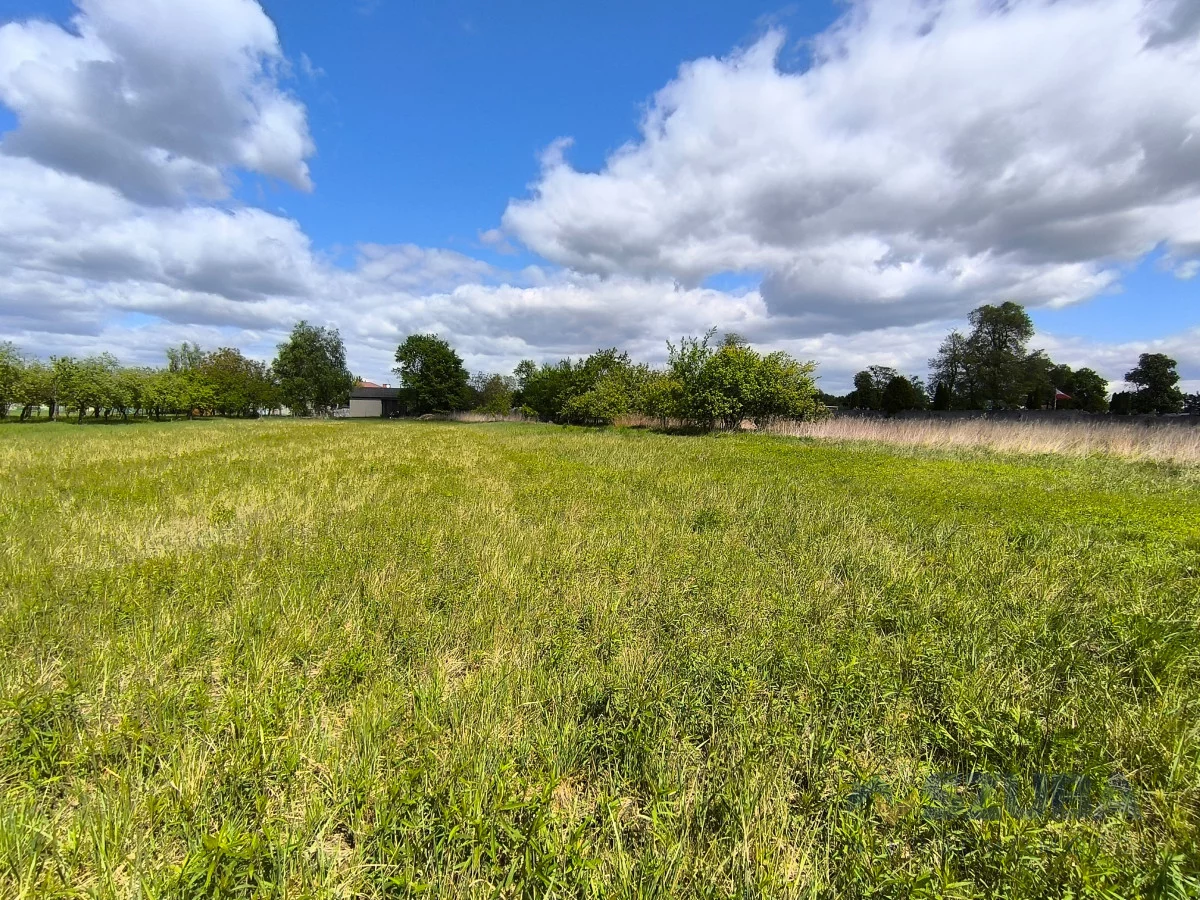 Działka 1 167,00 m², oferta nr , 364603, Borzęcin Duży, Chabrowa