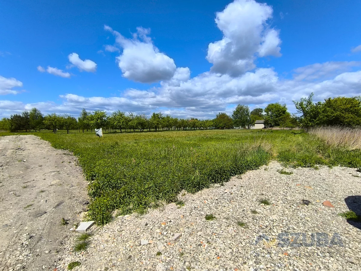 Działka 1 167,00 m², oferta nr , 364603, Borzęcin Duży, Chabrowa