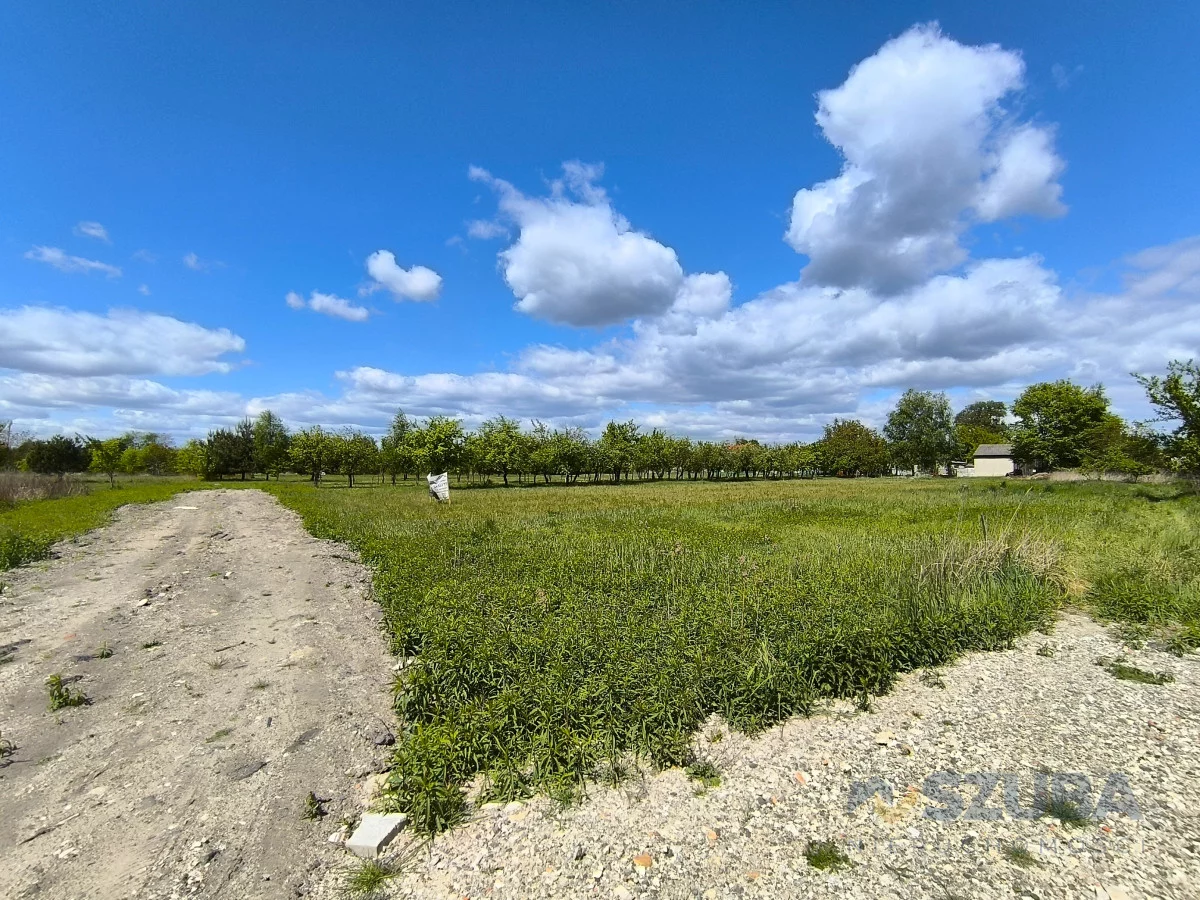 Działka 1 167,00 m², oferta nr , 364603, Borzęcin Duży, Chabrowa