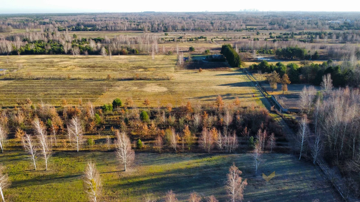 Działka 3 787,00 m², Borzęcin Duży, Relaksowa, Sprzedaż