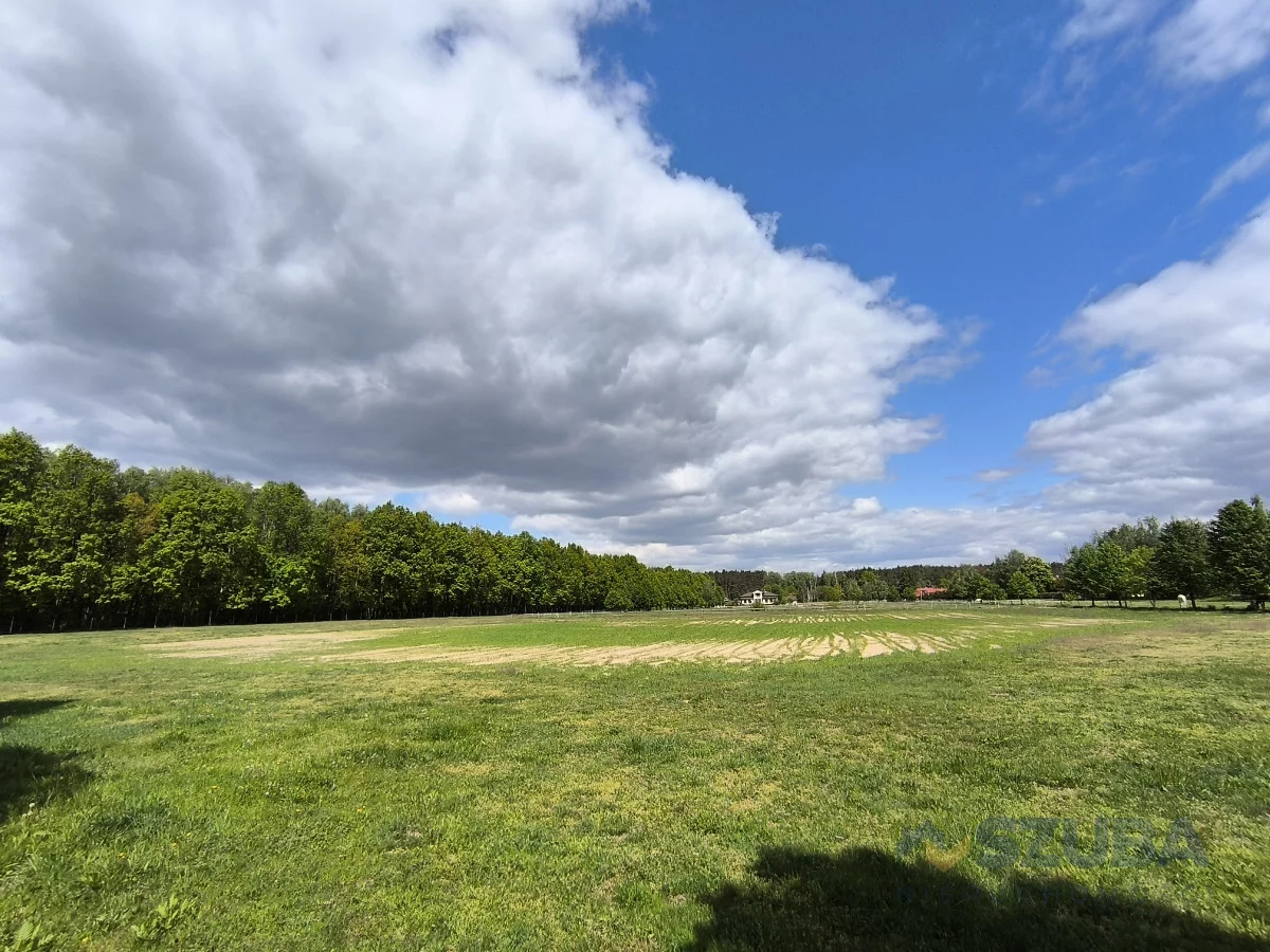 Działka 3 000,00 m², oferta nr , 171136, Borzęcin Duży, Relaksowa