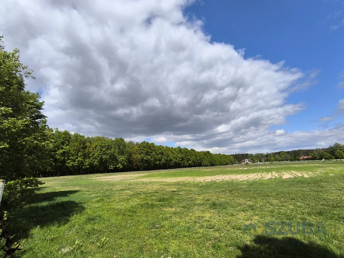 Działka 3 000,00 m², oferta nr , 968590, Borzęcin Duży, Relaksowa