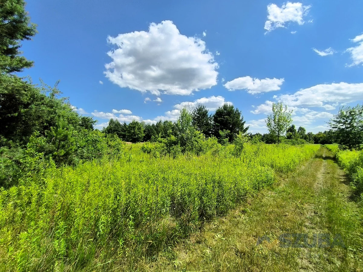 Działka 1 000,00 m², oferta nr , 119860, Wojcieszyn, Trakt Królewski