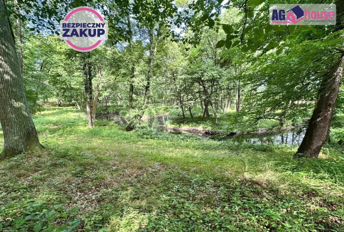 Działka 37 569,00 m², oferta nr , AG553893, Bożepole Wielkie, Chmieleniecka