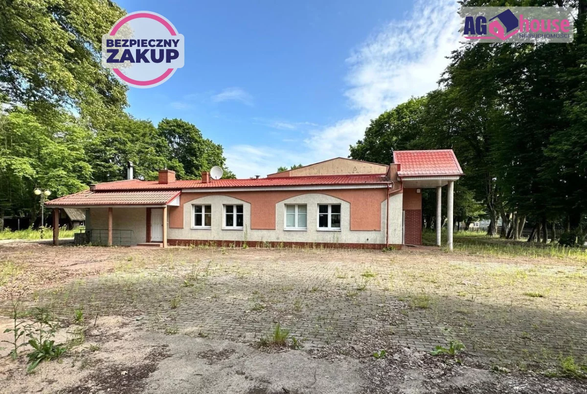 AG553893 - zdjęcie nr 2