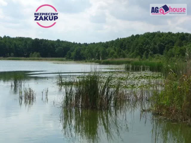 Działka 23 800,00 m², oferta nr , AG752202, Ciechocin