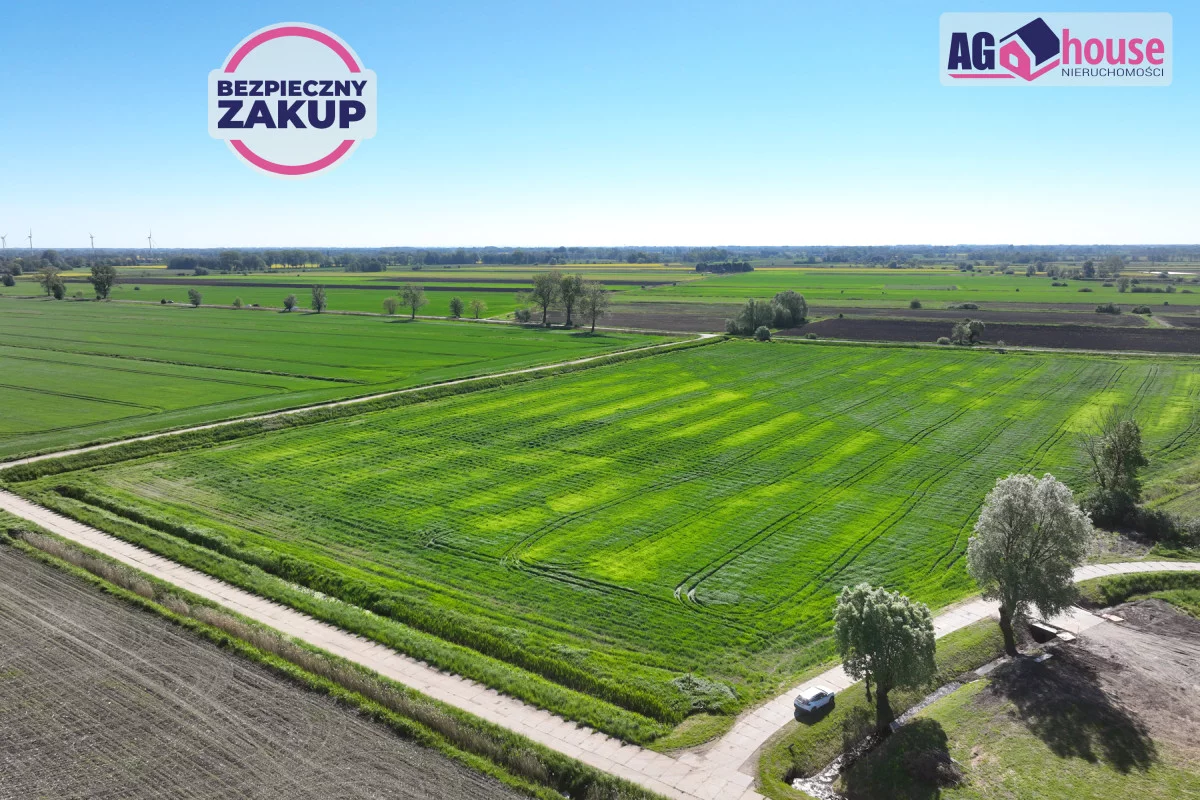 AG945798821 - zdjęcie nr 1
