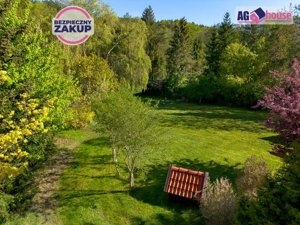 AG989886 - zdjęcie nr 3