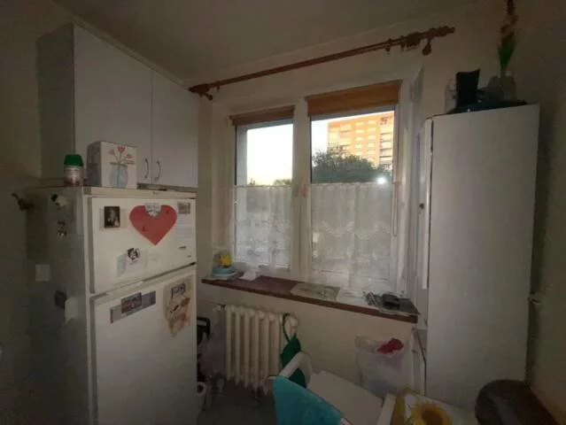 9771 - zdjęcie nr 4
