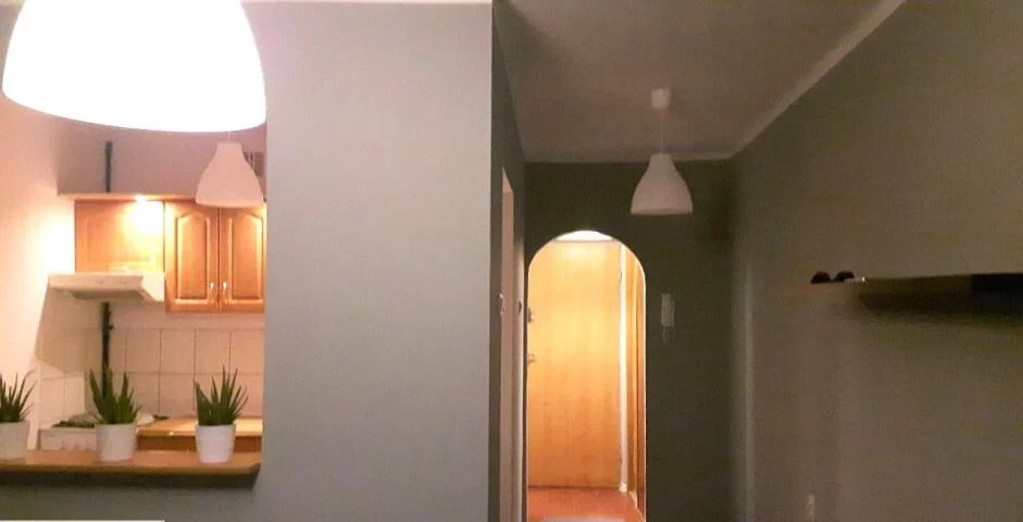Apartamenty 10279 Katowice Piastów