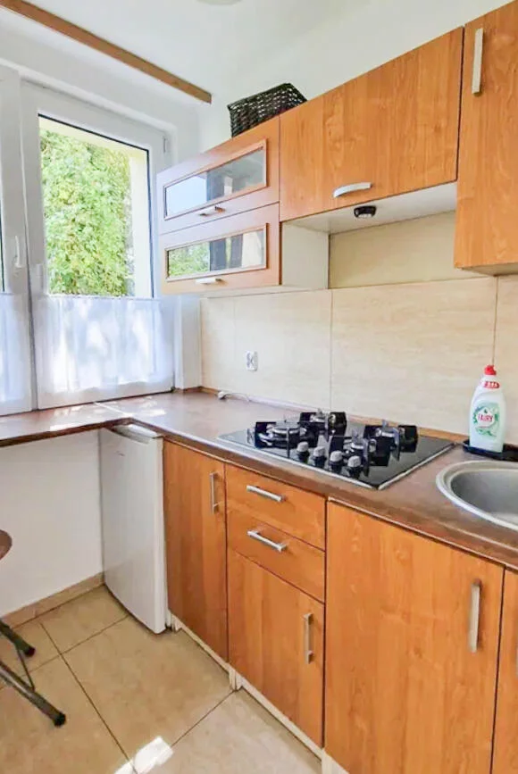 1 pokój, mieszkanie 25,00 m², parter, oferta nr , 10379, Kraków, Prądnik Czerwony, Ugorek