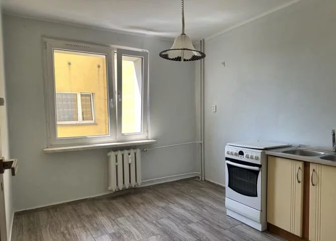 10126 - zdjęcie nr 3