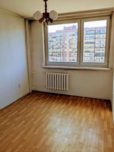 10175 - zdjęcie nr 2