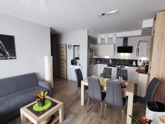 Mieszkanie dwupokojowe 54,00 m², Kraków, Dębniki, Ruczaj, dr. Jana Piltza, Sprzedaż