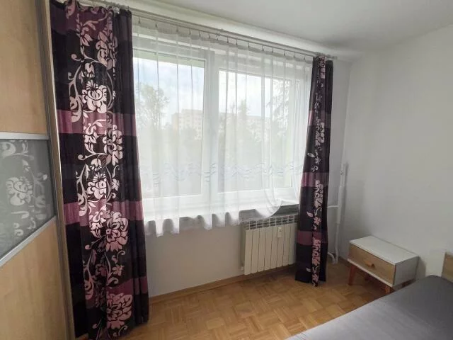10295 - zdjęcie nr 3