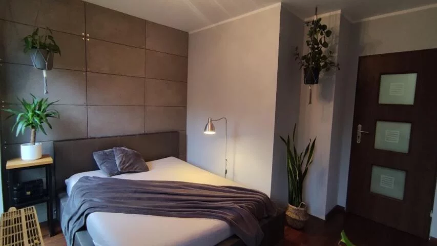 10220 - zdjęcie nr 3