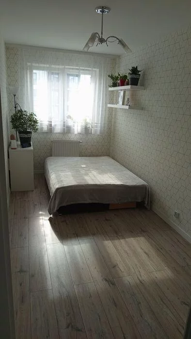 9932 - zdjęcie nr 3