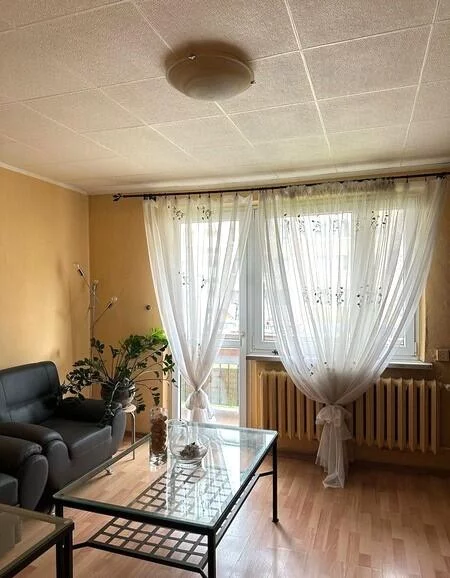 10270 - zdjęcie nr 3