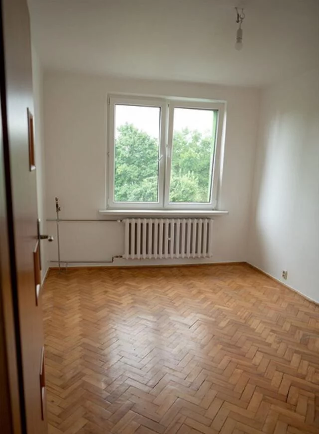10146 - zdjęcie nr 0