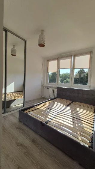10212 - zdjęcie nr 3