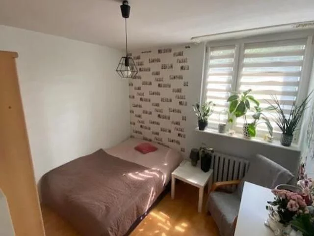 10251 - zdjęcie nr 0