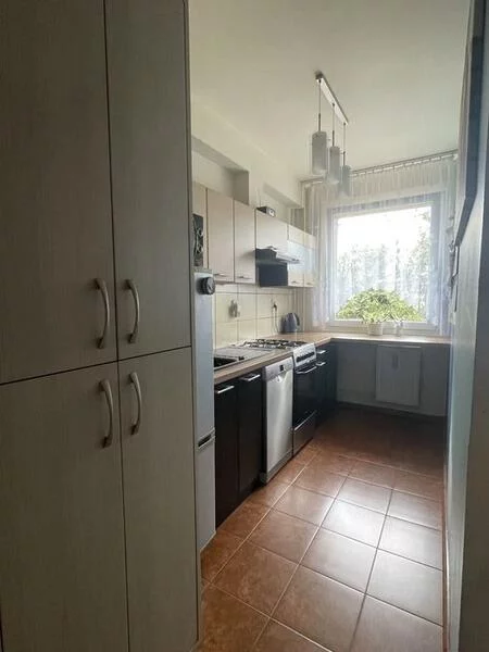 10209 - zdjęcie nr 4