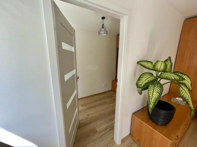 3 pokoje, apartament 47,00 m², piętro 3, oferta nr , 10227, Warszawa, Żoliborz, Żoliborz, Izabelli