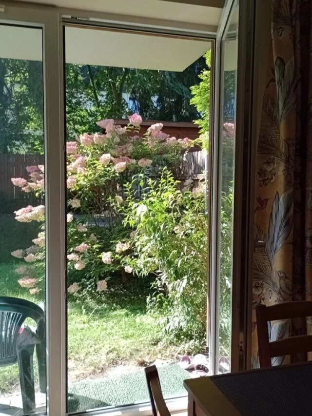 3 pokoje, mieszkanie 48,00 m², parter, oferta nr , 10435, Kraków, Bronowice, Józefa Chełmońskiego