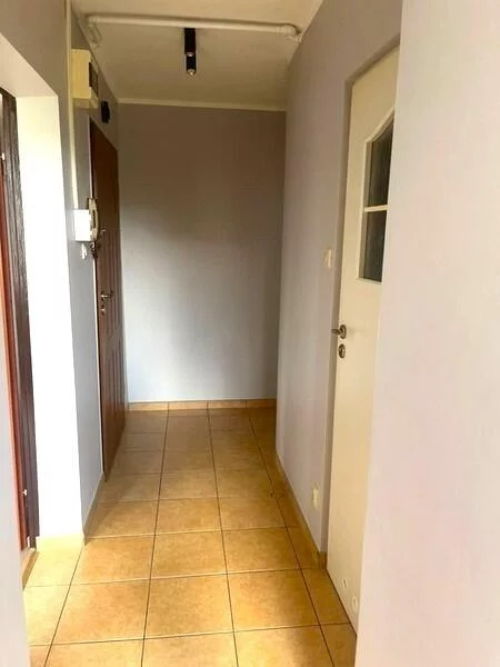 10223 - zdjęcie nr 3