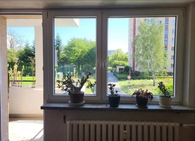 10244 - zdjęcie nr 2