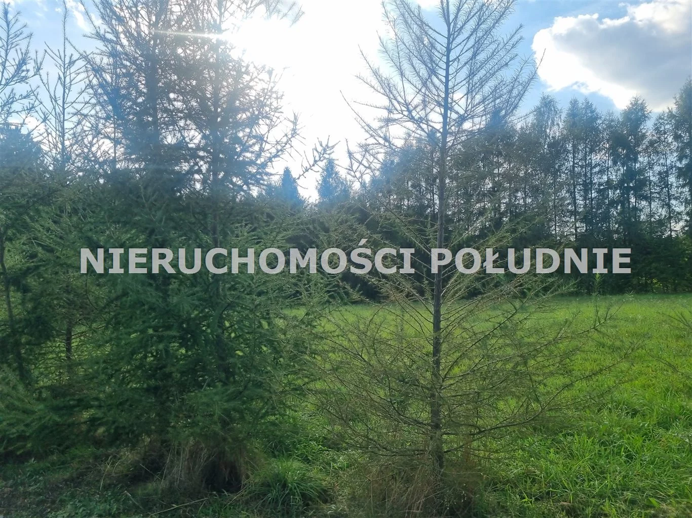 Działka 814,00 m², oferta nr , DRG-GS-281, Strumień