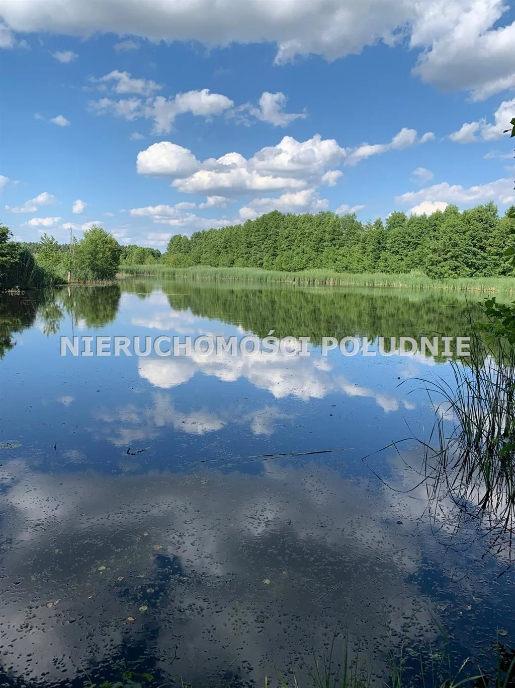 Działka 39 613,00 m², Sulechów, Sprzedaż