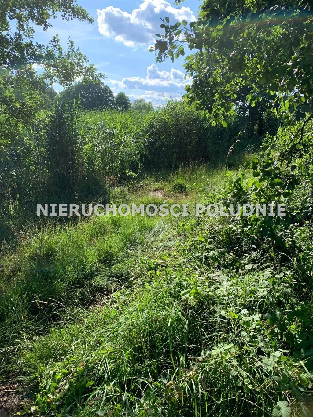 Działka 39 613,00 m², oferta nr , DRG-GS-249, Sulechów