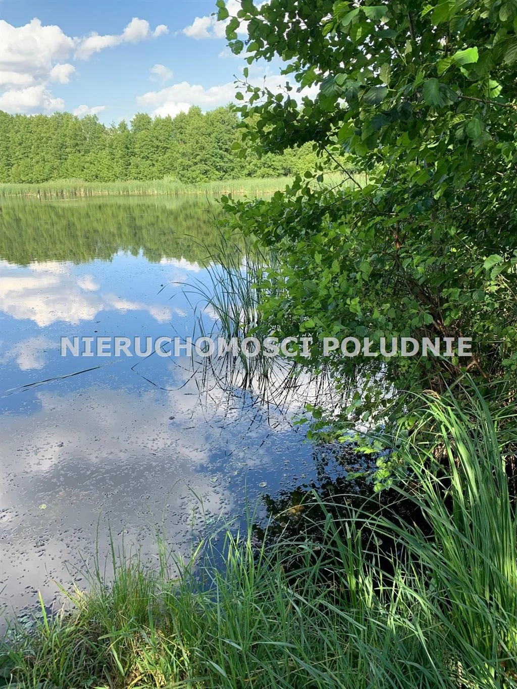 Działka 39 613,00 m², oferta nr , DRG-GS-249, Sulechów