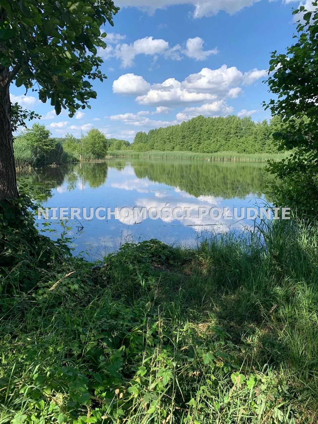 Działka 39 613,00 m², oferta nr , DRG-GS-249, Sulechów