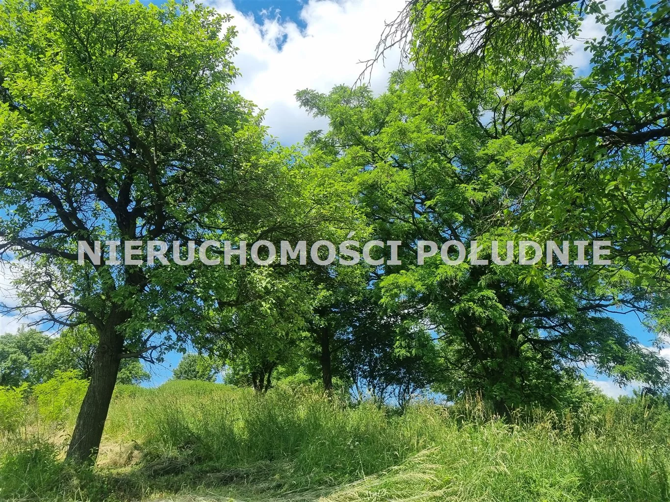 Działka 1 166,00 m², oferta nr , DRG-GS-272, Ustroń