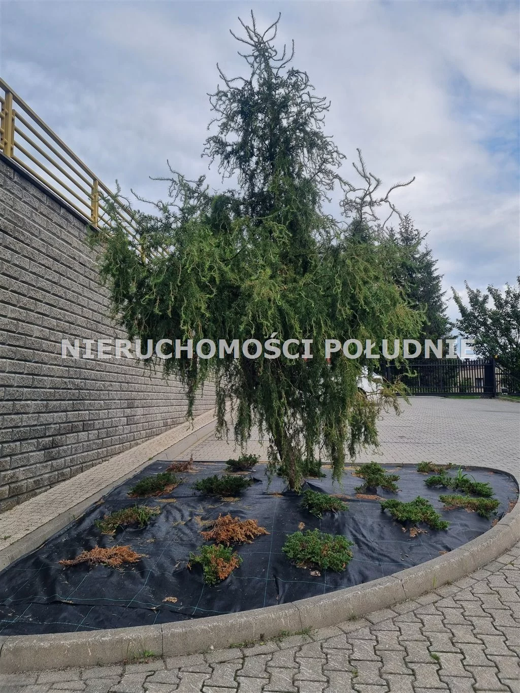 1 pokój, mieszkanie 34,35 m², piętro 5, oferta nr , DRG-MS-273, Wisła