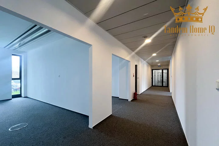 890 - zdjęcie nr 4