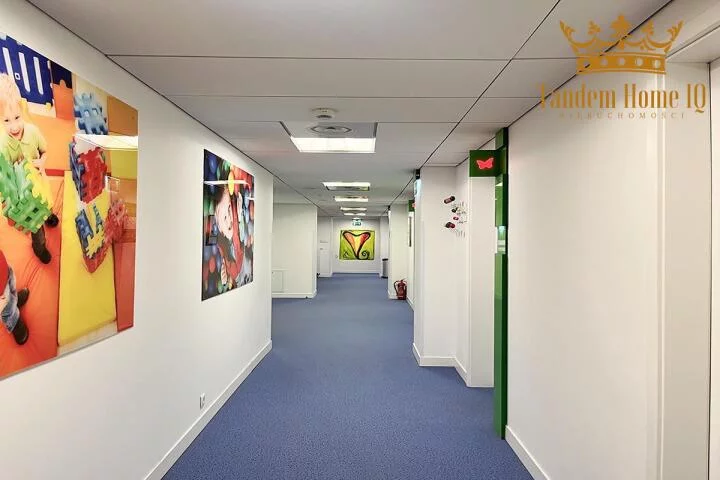 Lokal użytkowy 303,16 m², oferta nr , 839, Warszawa, Mokotów, Mokotów