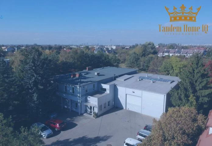 894 - zdjęcie nr 3
