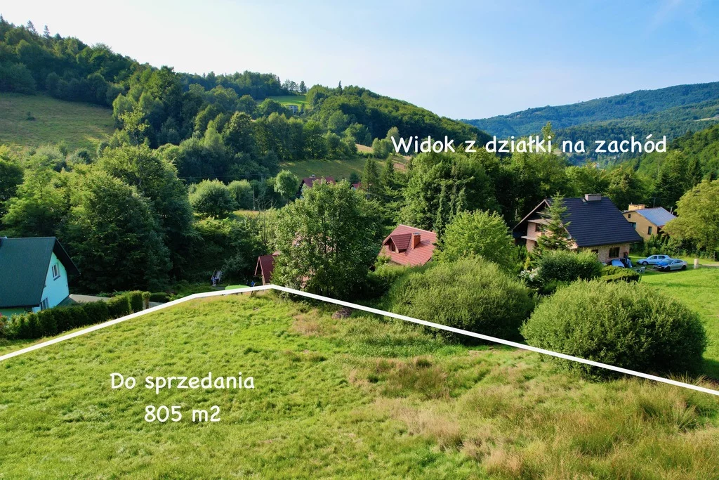 2/17812/OGS - zdjęcie nr 4